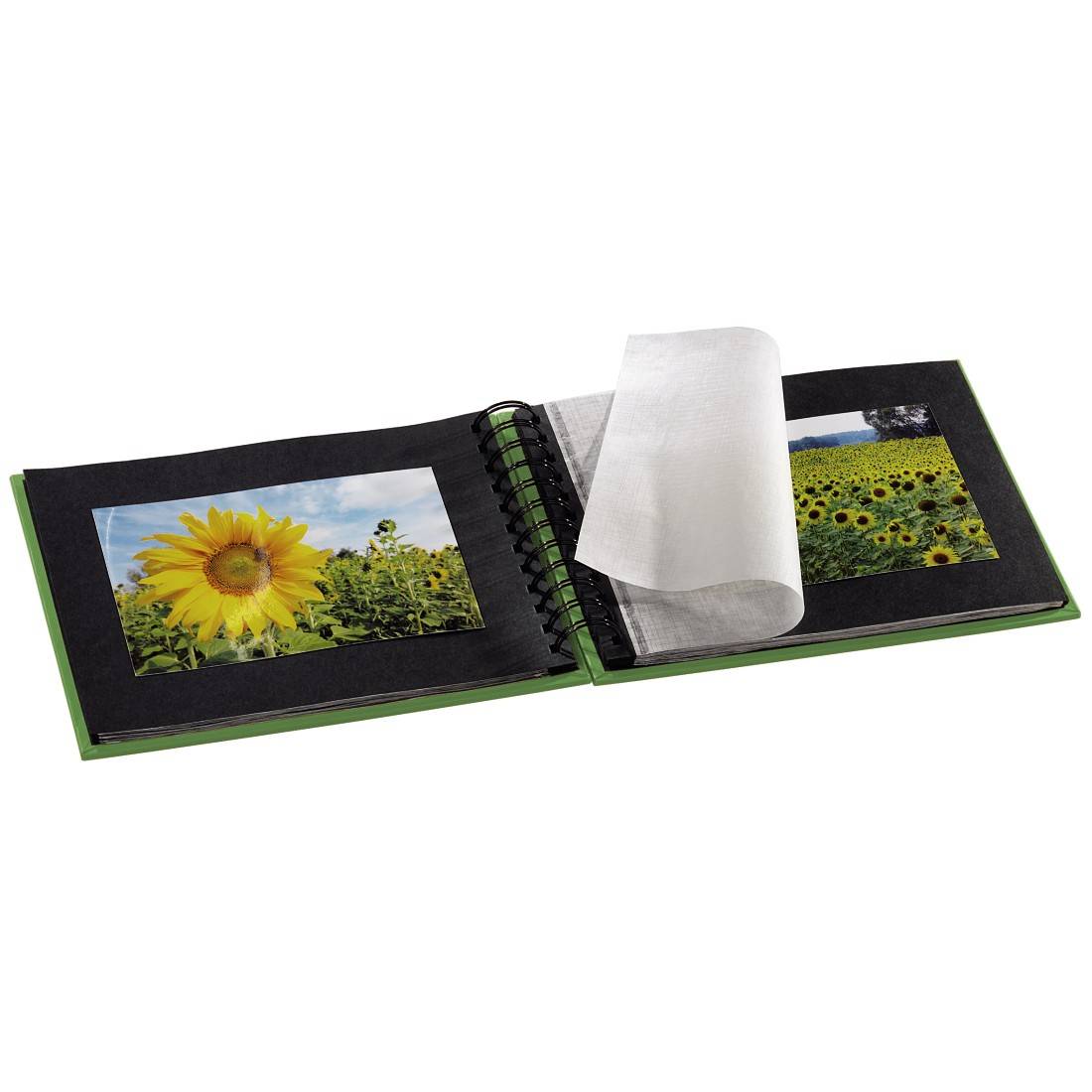 Un album fotografico aperto mostra immagini di girasoli. Una pagina di pergamena protegge le foto. Sullo sfondo si vedono altri girasoli.