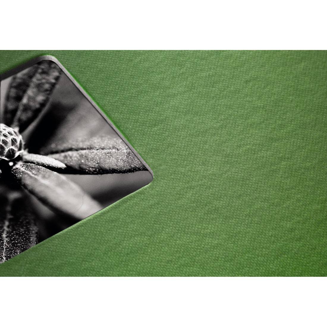 Una foto in bianco e nero di un fiore con gocce di rugiada nell'angolo in alto a sinistra di uno sfondo verde.