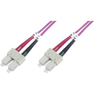 Due cavi in fibra ottica con connettori SC, rivestiti in rosso e viola, contrassegnati con '1' e '2'. Idonei per trasmissione dati ad alta velocità.