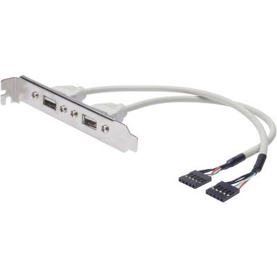 Due porte USB su una piastra metallica con cavi collegati che possono essere connessi a interfacce sulla scheda madre interna.