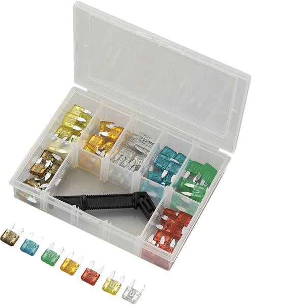 Fusibili per auto - Mini fusibile piatto 5 A, 7.5 A, 10 A, 15 A, 20 A, 25 A, 30 A TRU COMPONENTS Y101-70TS 700027 71 pz. - Fusibili per auto - Mini fusibile piatto 5 A, 7.5 A, 10 A, 15 A, 20 A, 25 A, 30 A TRU COMPONENTS Y101-70TS 700027 71 pz. -