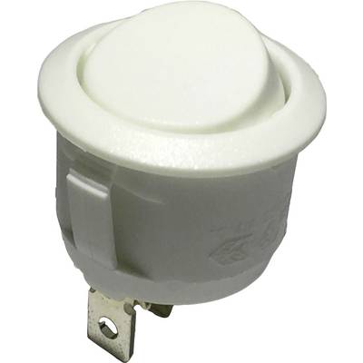 Un interruttore a bilanciere bianco con attacco metallico, idoneo per dispositivi elettronici.