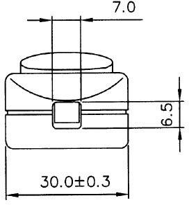 Disegno tecnico di un componente: Larghezza 30,0 ±0,3 mm, Altezza 6,5 mm, Spessore superficie 7,0 mm.