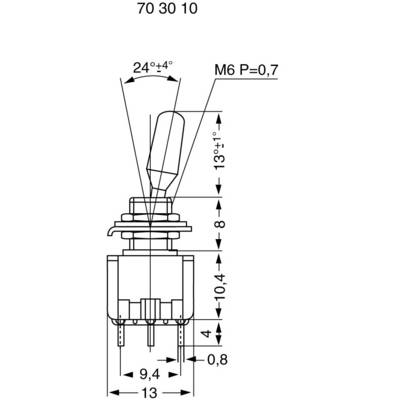 Disegno tecnico di un componente con quote e angoli, comprendente una filettatura M6, angolo di inclinazione di 24° e 13°, altezza totale 70 mm.