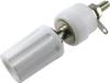 Cliff TP/1 Morsetto serrafilo Bianco 15 A 1 pz.
