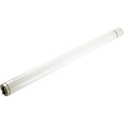 Una lampada fluorescente bianca, cilindrica e lunga, con terminali metallici alle estremità, è posizionata in modo obliquo su uno sfondo bianco.