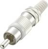 Connettore RCA, spina, diritta, numero di poli: 2, bianca, Conrad Components, 1 pz.