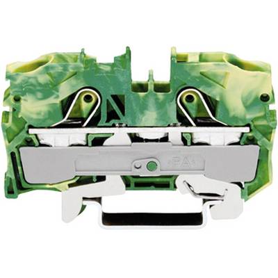 Blocco morsetti elettrici verde e giallo per cablaggio, con due connessioni e collegamenti metallici argentati visibili.