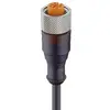 Lumberg Automation 11355-1 Connettore confezionato per sensore o attuatore M12 Presa dritta 2.00 m Numero di poli: 4 1 pz.