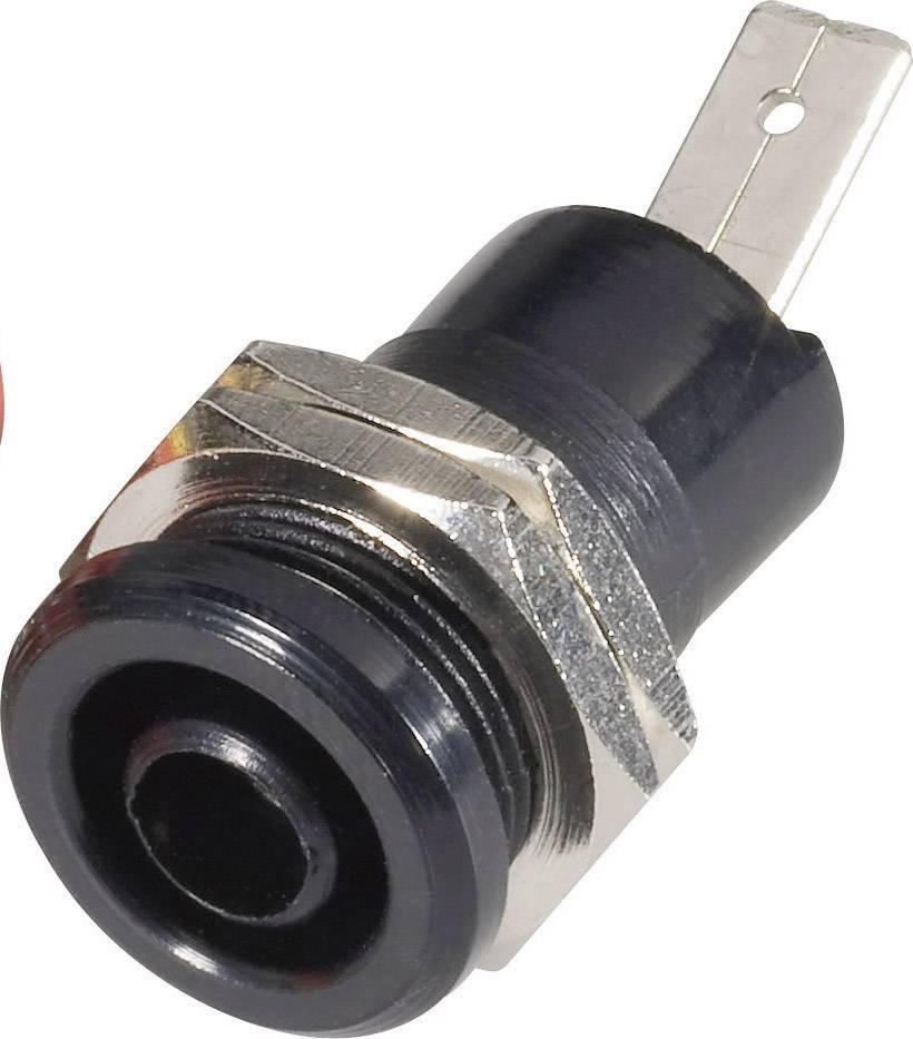 Presa elettrica nera con filettatura argentata e contatto metallico piatto, adatta per connessioni elettriche.