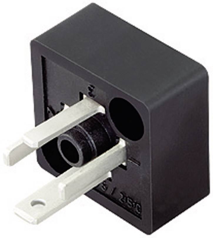 Adattatore nero con due spinotti metallici e un raccordo rotondo, idoneo per connessioni di apparecchi elettrici.