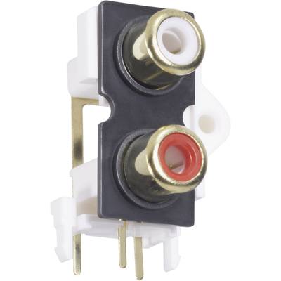 Presa RCA-femmina, doppia affiancata, una con anello rosso e una con anello bianco, su un supporto in plastica nero.