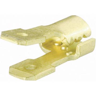 Un connettore metallico dorato con struttura piatta, idoneo per il fissaggio sicuro di cavi o linee elettriche.