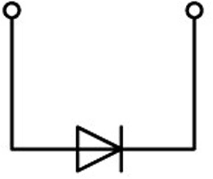 Schema elettrico con un diodo integrato in un circuito con due punti di connessione.