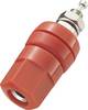 TRU COMPONENTS Morsetto serrafilo Rosso 30 A 1 pz.