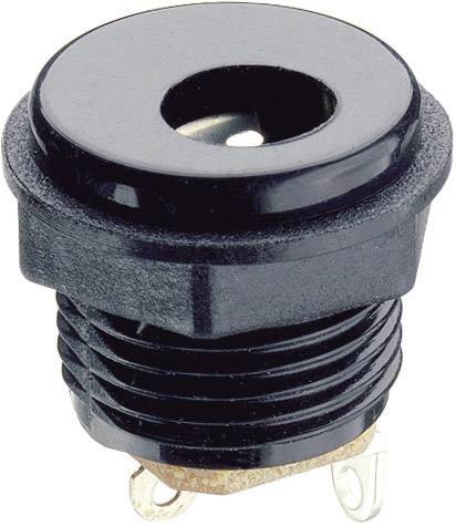 Presa nera per spina elettrica. Involucro in plastica con due contatti metallici sul fondo. Adatta per dispositivi elettronici.