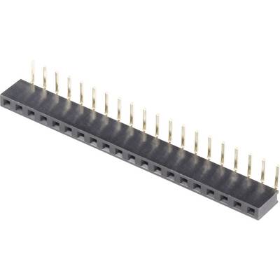 Connettore nero con guida per pin con 16 pin dorati disposti in una riga. I pin sono distribuiti uniformemente e servono per il collegamento elettrico.
