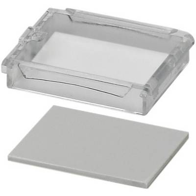 Scatola trasparente in plastica e piastra rettangolare grigia davanti, probabilmente parte di un sistema di stoccaggio o contenitore.