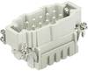 HARTING 09330062616 Inserto maschio Han® E 6 + PE Gabbia a molla 1 pz.