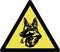 Cartello di avvertimento con la testa di un cane in un triangolo giallo. Indicazione di cane da guardia o misure di sicurezza.