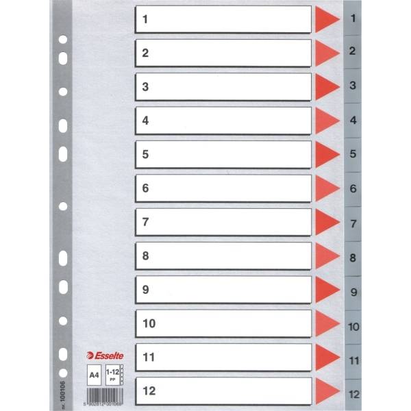 Rubrica Numerica in PPL Esselte - A4 - 12 Tasti - 100106 (Grigio)-0