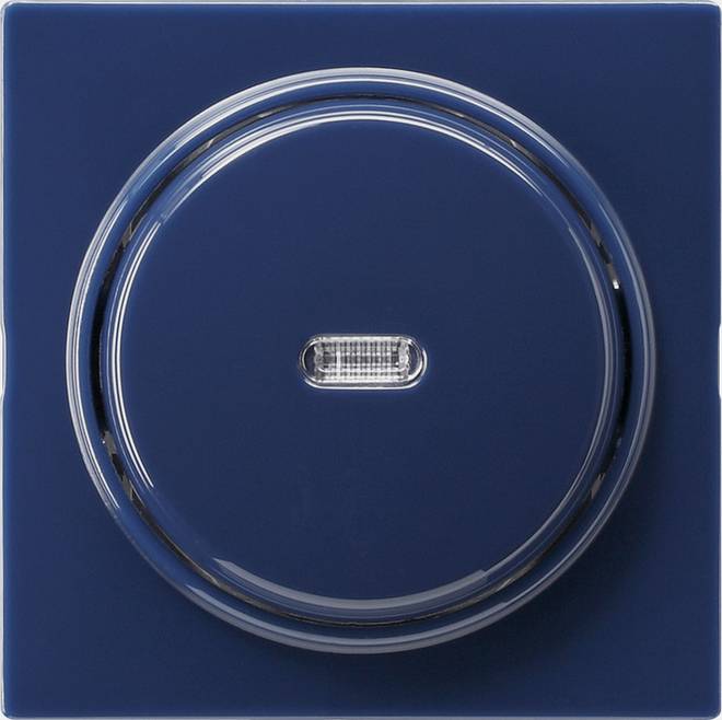 GIRA 012246 Elektroschalter Blau (012246)
