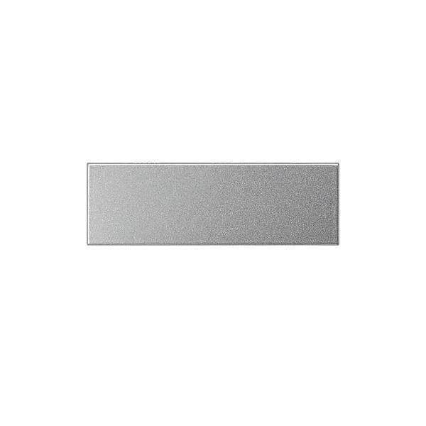 GIRA 125565 Türklingel-Taster (125565)-0