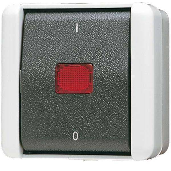 Jung 802 KOW Elektroschalter 2P Schwarz - Weiß (802KOW)-0
