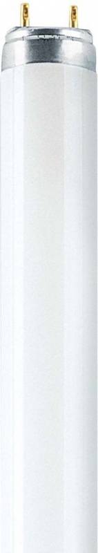 OSRAM - 4008321002990 - LUMILUX® T8 58 W/880-0