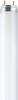 OSRAM - 4008321002990 - LUMILUX® T8 58 W/880