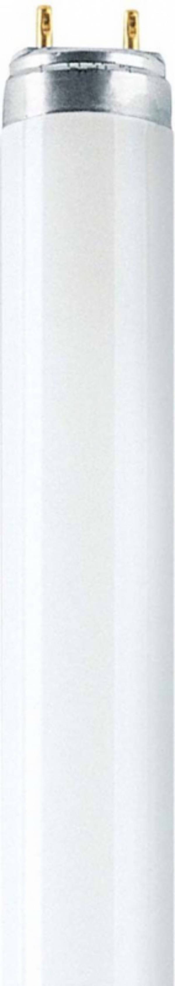 OSRAM - 4008321002990 - LUMILUX® T8 58 W/880
