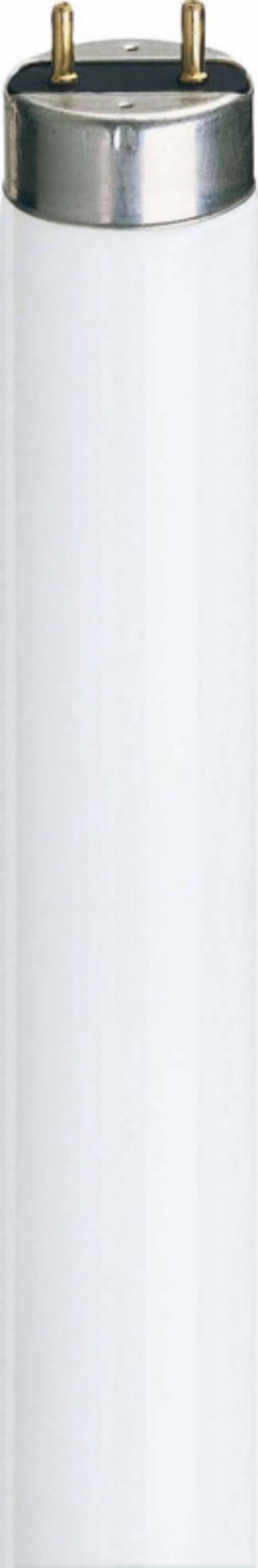 Philips - 927921082723 - MASTER TL-D Super 80 36W/827 1SL/25
