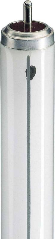 Philips - 928037703332 - TL-X XL 20W/33-640 SLV/25-0