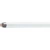 MASTER TL5 HO 24W/840 SLV/40