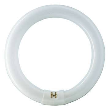 Philips - 928026284070 - TL-E 22W/840 1CT/12-0