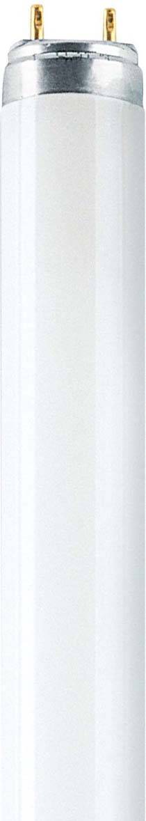 OSRAM - 4050300518091 - LUMILUX® T8 1 m 36 W/840-1-0