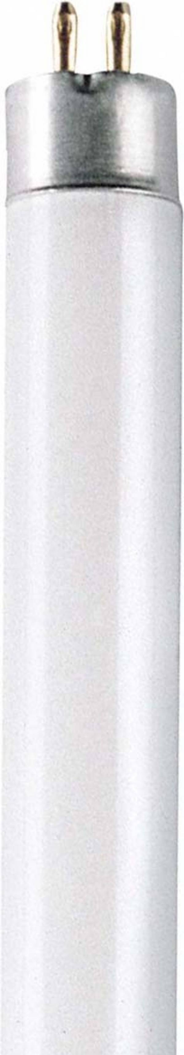 OSRAM - 4050300796772 - LUMILUX® T5 HO 49 W/827