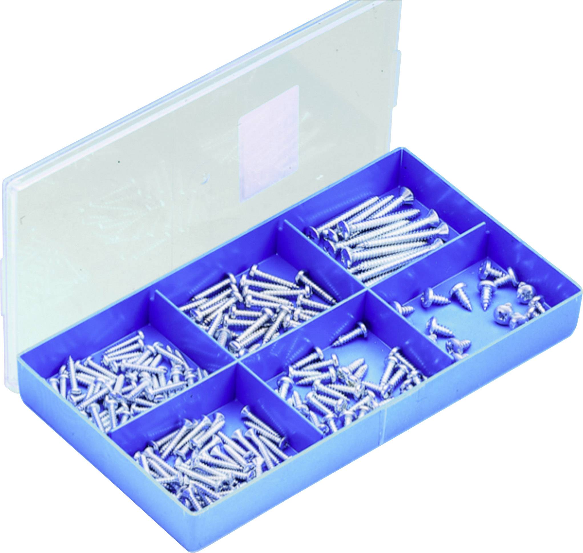 Scatola blu per assortimento con diversi scomparti pieni di viti argentate di dimensioni e forme differenti.