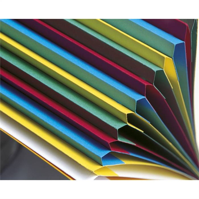 Exacompta 55062E intercalare Cartella per file convenzionale Cartone Blu-1