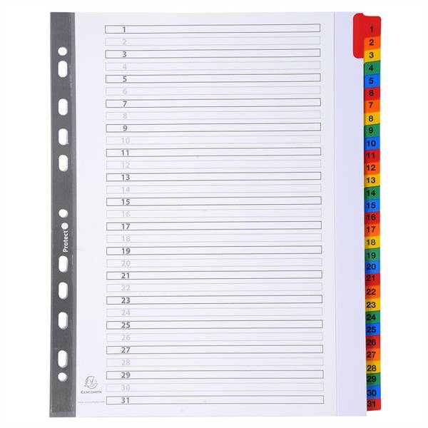 Separatore Numerico 1/31 Exacompta - A4 Maxi - 4131E (Bianco)
