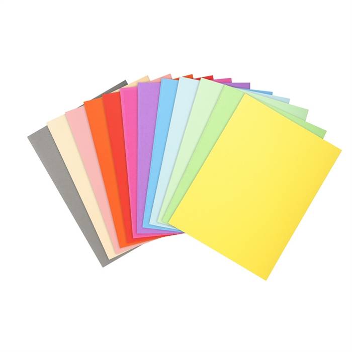 Cartellina in Cartoncino Forever Exacompta - Semplice - 24x32 cm - 220 g - 410000E (Assortiti Conf. 100)-0