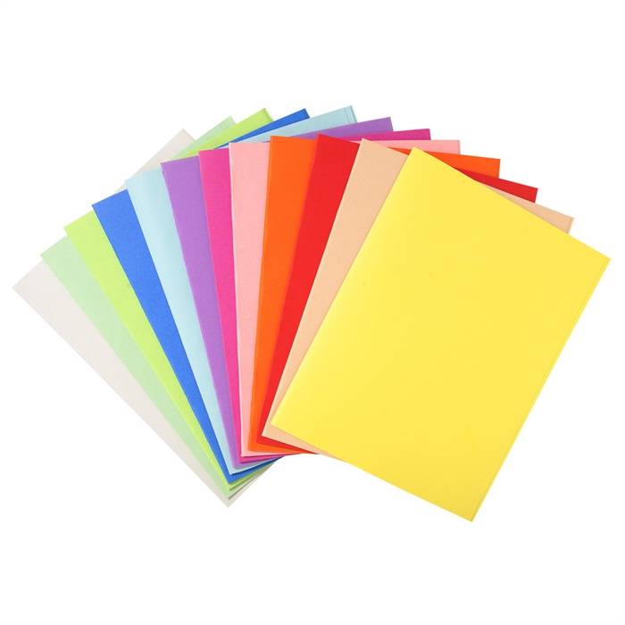 Cartellina in Cartoncino Forever Exacompta - Semplice - 24x32 cm - 220 g - 410000E (Assortiti Conf. 100)-2