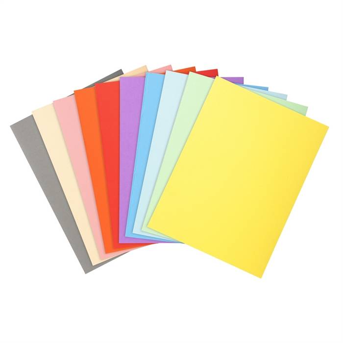 Cartellina in Cartoncino Forever Exacompta - Semplice - 24x32 cm - 220 g - 410000E (Assortiti Conf. 100)-3