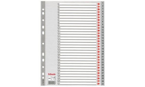 Divisori per rubrica Esselte A4 PPL numerica 1-31 100108-0