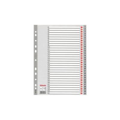 Divisori per rubrica Esselte A4 PPL numerica 1-31 100108-0