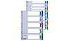 Intercalare Neutro in PPL Esselte - A4 - 6 Tasti - 152600 (Multicolore)