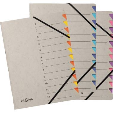 Cartella organizer PAGNA Easy 12 pezzi.gu/bu DIN A4 12 pieghe grigio-1