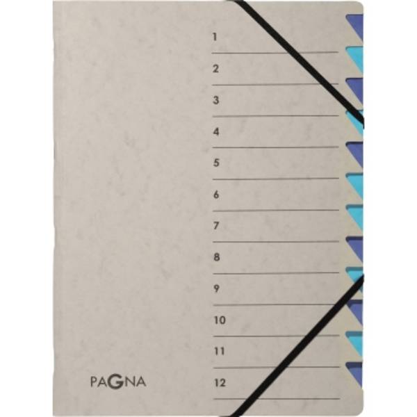 Cartella organizer PAGNA Easy 12 pezzi.gu/bu DIN A4 12 pieghe grigio