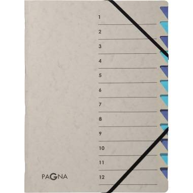 Cartella organizer PAGNA Easy 12 pezzi.gu/bu DIN A4 12 pieghe grigio-0