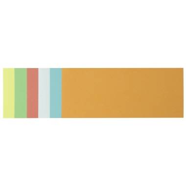Soennecken Moderationskarte 4877 9,5x20,5cm sort. 250 St./Pack. (4877)-2